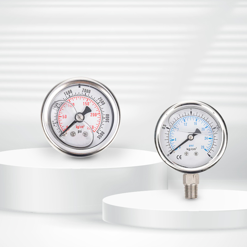 জল চিকিত্সার জন্য শকপ্রুফ তেল চাপ গেজ