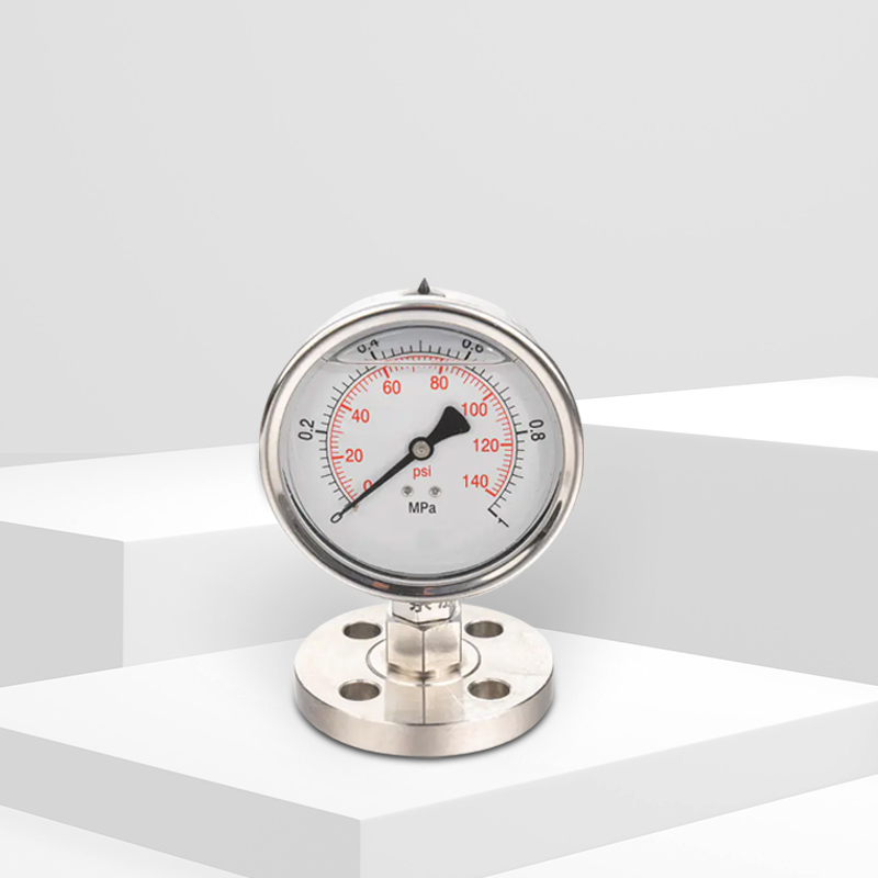 ডায়াফ্রাম সিল সহ জল চিকিত্সা চাপ গেজ