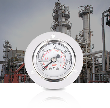 পেট্রোকেমিক্যাল শিল্প Pressure Gauges